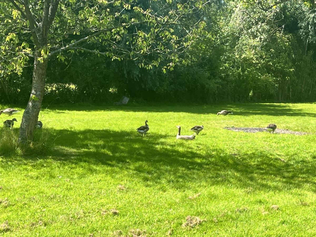 Adorable Two Bed Norfolk Broads Holiday Home - River Views With Moorings & Fishing Stalham Exterior foto